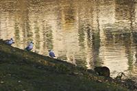 Cjp_2012_01_16_153126.jpg