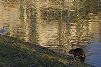 Cjp_2012_01_16_153242.jpg
