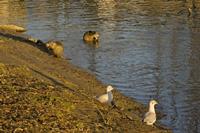 Cjp_2012_01_16_153940.jpg