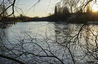 Cjp_2012_01_16_154026.jpg