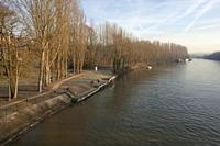 Cjp_2012_01_17_091210.jpg