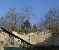 Cjp_2012_01_17_101412.jpg