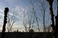 Cjp_2012_01_17_102046.jpg