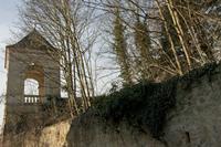 Cjp_2012_01_17_114724.jpg