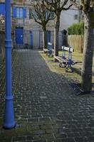 Cjp_2012_02_20_110712.jpg