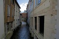 Cjp_2012_02_20_121750.jpg