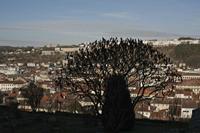 Cjp_2012_02_21_142006.jpg