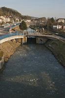 Cjp_2012_02_21_154848.jpg