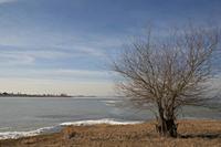 Cjp_2012_02_22_132212.jpg