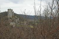 Cjp_2012_03_06_134914.jpg