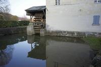 Cjp_2012_03_06_172046.jpg