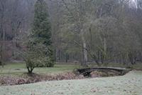 Cjp_2012_03_07_074406.jpg