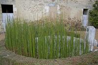 Cjp_2012_03_07_081126.jpg