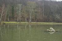 Cjp_2012_03_07_085950.jpg