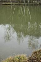 Cjp_2012_03_07_090126.jpg
