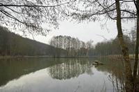 Cjp_2012_03_07_090216.jpg