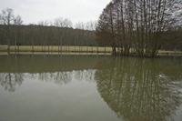 Cjp_2012_03_07_091706.jpg