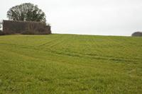Cjp_2012_03_07_093214.jpg