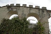 Cjp_2012_03_07_130438.jpg