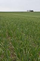 Cjp_2012_03_07_143600.jpg