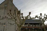 Cjp_2012_03_08_072252.jpg