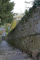 Cjp_2012_03_08_072344.jpg