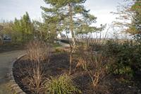 Cjp_2012_03_08_074648.jpg