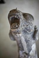 Cjp_2012_03_08_145848.jpg