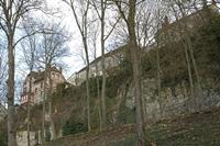 Cjp_2012_03_08_155504.jpg