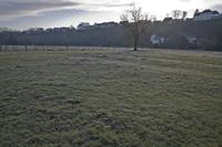 Cjp_2012_03_09_074422.jpg