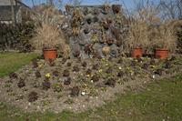 Cjp_2012_03_09_125804.jpg
