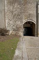 Cjp_2012_03_09_131014.jpg