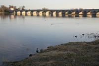 Cjp_2012_03_09_164844.jpg