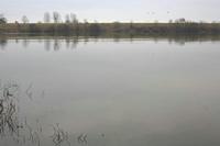 Cjp_2012_03_10_081214.jpg