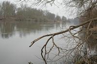 Cjp_2012_03_10_081234.jpg