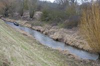 Cjp_2012_03_10_084550.jpg