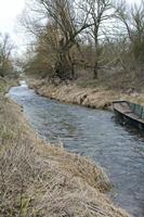 Cjp_2012_03_10_084816.jpg