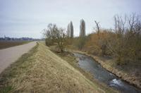 Cjp_2012_03_10_084852.jpg