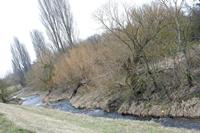 Cjp_2012_03_10_084940.jpg