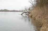 Cjp_2012_03_10_093552.jpg
