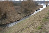 Cjp_2012_03_10_102108.jpg