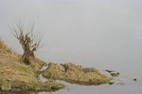 Cjp_2012_03_10_102428.jpg