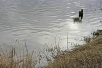Cjp_2012_03_10_110932.jpg