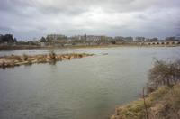 Cjp_2012_03_10_131648.jpg