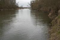 Cjp_2012_03_10_133722.jpg