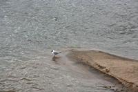 Cjp_2012_03_10_150404.jpg