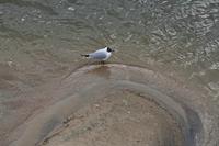 Cjp_2012_03_10_150648.jpg