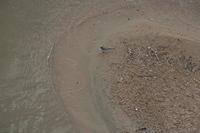 Cjp_2012_03_10_150934.jpg