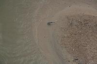 Cjp_2012_03_10_150940.jpg