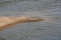 Cjp_2012_03_10_151240.jpg